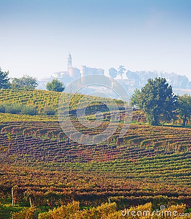 Italian vineyards ( on the background Calosso, Asti, Piedmont) Stock Photo