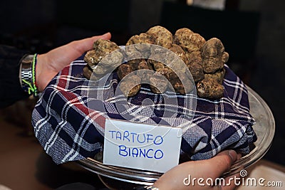 Italian white truffle Stock Photo