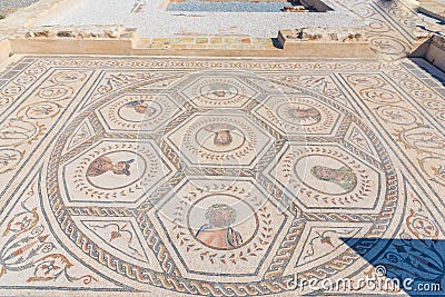 ITALICA, SPAIN, JUNE 25, 2019: Planetarium mosaics at roman ruins at Italica, Spain Editorial Stock Photo