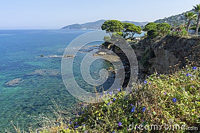 Italy, Campania , Cilento , San Marco di Castellabate Editorial Stock Photo