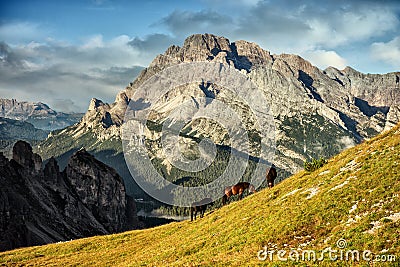 Italy, Dolomites - wonderful landscapes, horses graze near the barren rocks Stock Photo