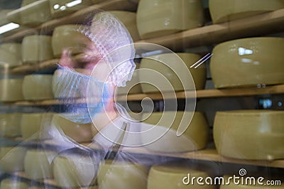Italy, Emilia Romagna, traditional cheese factory where Parmesan cheese is produced Stock Photo