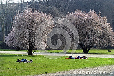 Italy,Piemonte,Torino,Turin. Editorial Stock Photo