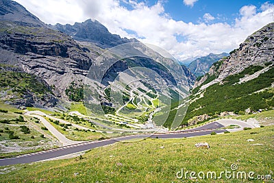 Italy, Stelvio National Park. Famous road to Stelvio Pass in Ortler Alps. Stock Photo