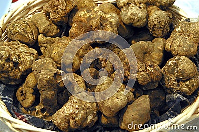 Italy, Tuscany, White truffle. Stock Photo