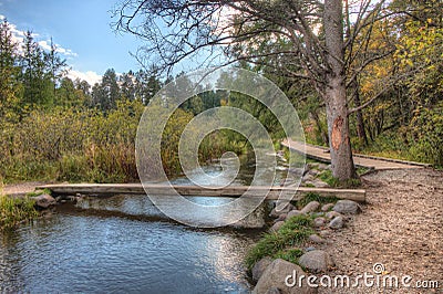 Itasca State Park contains the Headwaters of the Mississippi Riv Stock Photo