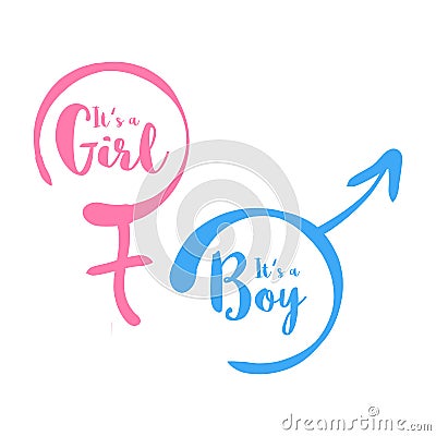 Its a boy or girl - baby shower invitation template. Calligraphic text in the hand-drawn female and male gender sign Vector Illustration