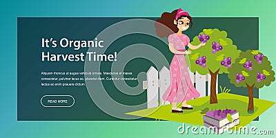 Its organic harvest time flat horizontal banner Vector Illustration