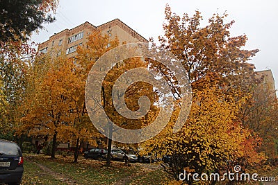 Ivanteevka City of Moscow Region. Novoselki Street. Editorial Stock Photo