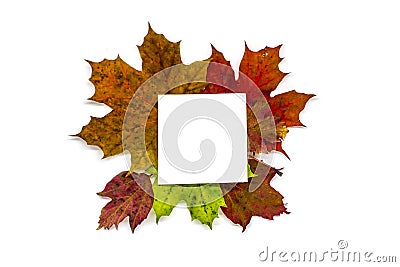 A ivory bookdiary, note with autumnfall leaves isolated white Stock Photo