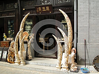 Ivory Tusks carved and for sale in Beijing China Panjiayuan Weekend Market Editorial Stock Photo
