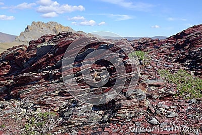 Ivvavik National Park Shale Stock Photo