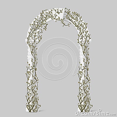 Ivy on marble arch, vines with green leaves on arc Vector Illustration