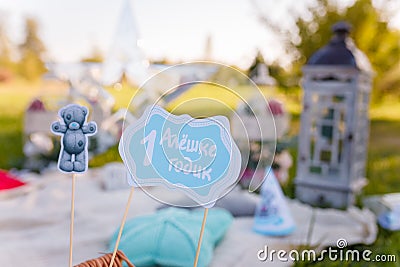 Yearling outdoor picnic party. One year old boy decorative elements photo zone. Props on sticks Editorial Stock Photo