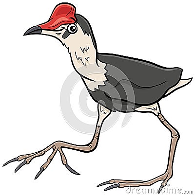 Jacana bird animal character cartoon illustration Vector Illustration