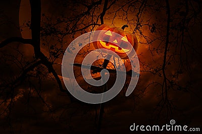 Jack O Lantern pumpkin on wood cross over dead tree, moon and cl Stock Photo