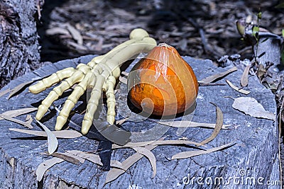 Jack O`Lantern and skeleton arm on tree stump Stock Photo