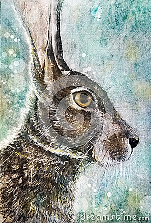 Jack rabbit in meadow charcoal art Stock Photo