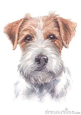 Jack Russell`s water colour painting 025 Stock Photo