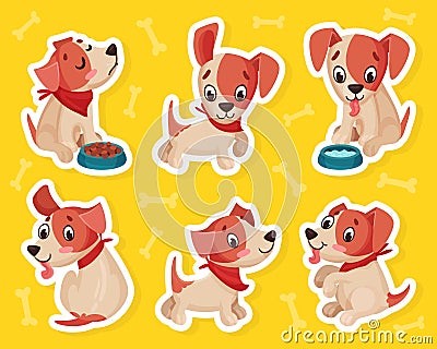 Jack Russell Terrier Little Puppy with Cute Snout Vector Set Vector Illustration