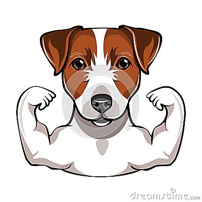 Jack Russell Terrier with muscule. Vector Vector Illustration