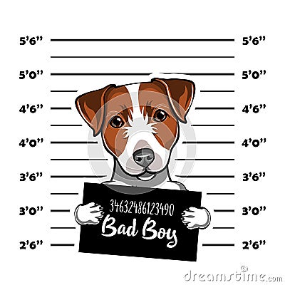 Jack Russell Terrier prisoner. Arrest photo. Police placard, Police mugshot, lineup. Police department banner. Dog. Vector. Vector Illustration