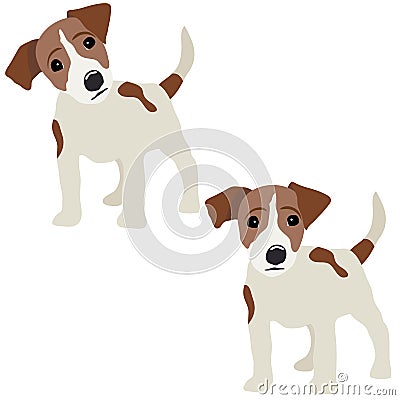 Jack Russell Terrier. Vector Illustration