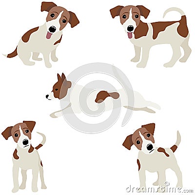 Jack Russell Terrier. Vector Illustration of a dog Vector Illustration