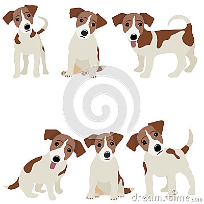 Jack Russell Terrier. Vector Illustration of a dog Vector Illustration