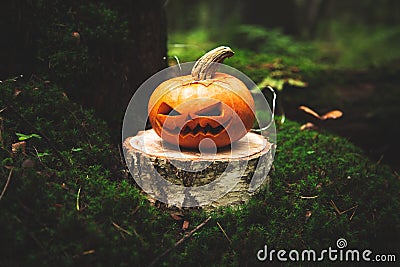 Jack`s lantern in scary, mystical forest Stock Photo