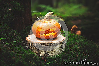 Jack`s lantern in scary, mystical forest Stock Photo