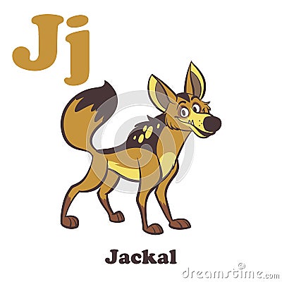 J for Jackal Vector Illustration