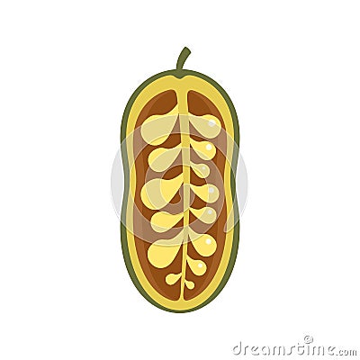 Jackfruit icon flat isolated vector Vector Illustration