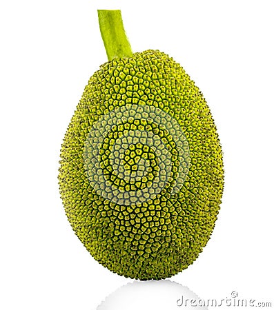 Jackfruit isolated on white background Stock Photo