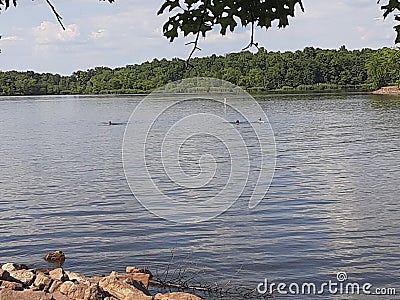 JACKIE& x27;S BRANCH, REND LAKE BEACH Stock Photo