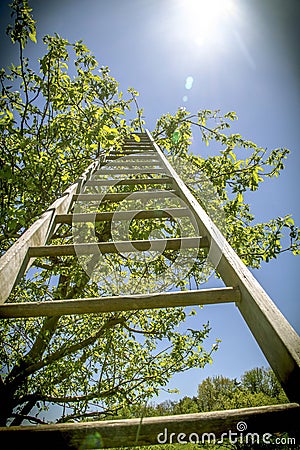 Jacob ladder to the heavens a biblical story. Stock Photo