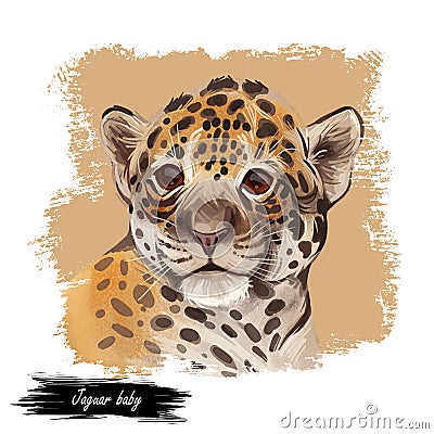 Jaguar baby tabby portrait closeup of animal. Panthera carnivore fauna. Wildlife of South America, drawn big mammal with furry Cartoon Illustration