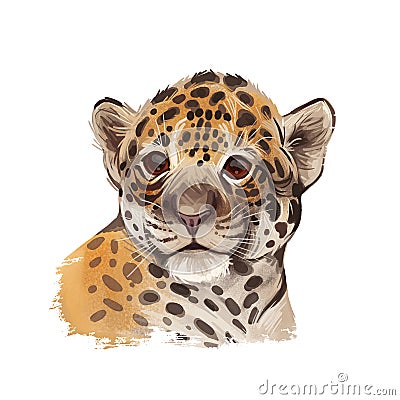 Jaguar baby tabby portrait closeup of animal. Panthera carnivore fauna. Wildlife of South America, drawn big mammal with furry Cartoon Illustration
