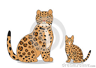 Jaguar and bengal cat Vector Illustration