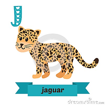 Jaguar. J letter. Cute children animal alphabet in vector. Funny Vector Illustration