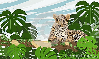 The jaguar Panthera onca lies on a long branch of a tropical tree covered with moss. Jungle with Monstera and other exotic plants Vector Illustration