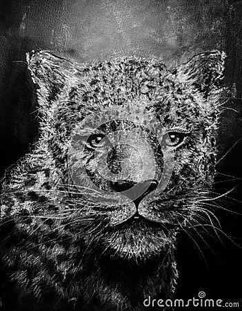 Jaguar sketch in charcoal Stock Photo