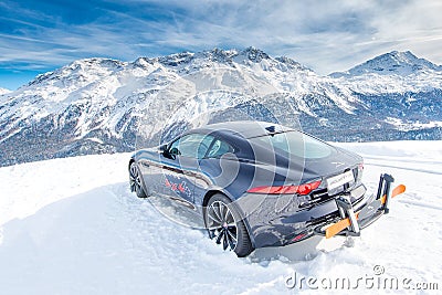 Jaguar in the snow Editorial Stock Photo
