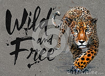 Jaguar watercolor painting with background, predator animals wildlife, wild and free wildlife print for t-shirt Stock Photo