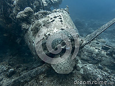 Jake Seaplane Wreck Sits on Ocean Floor Close Up Stock Photo