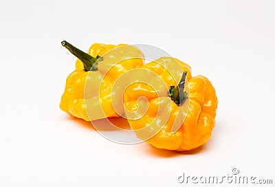 Jamaican Scotch Bonnet Hot Peppers Stock Photo