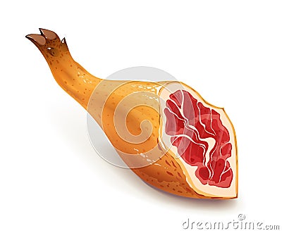 Jamon. Hamon. Traditional Spanish food. Meat. Pig leg. Vector illustration. Vector Illustration