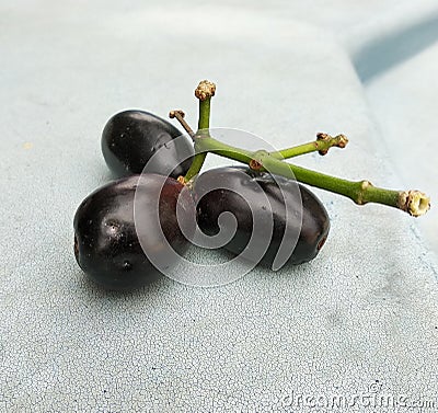 Jamun fruits Stock Photo