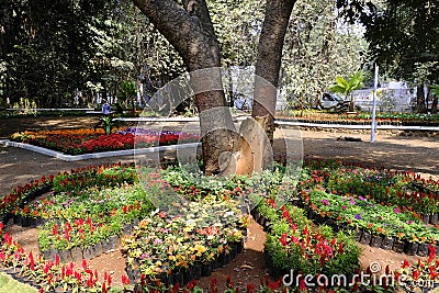 25 January 2023, Pune, India, The empress Botanical Garden during Annual flower show in Pune Editorial Stock Photo