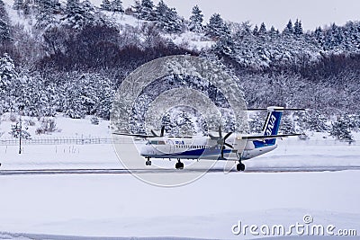 Japan Airline ready to Flight. Editorial Stock Photo